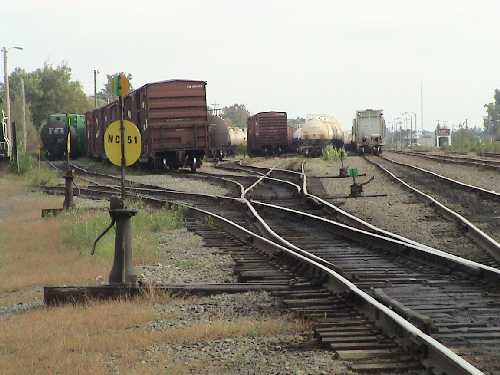 Miramichi yard